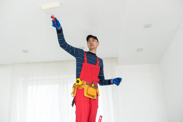 Reliable Barrington Hills, IL Drywall and Painting Service Solutions